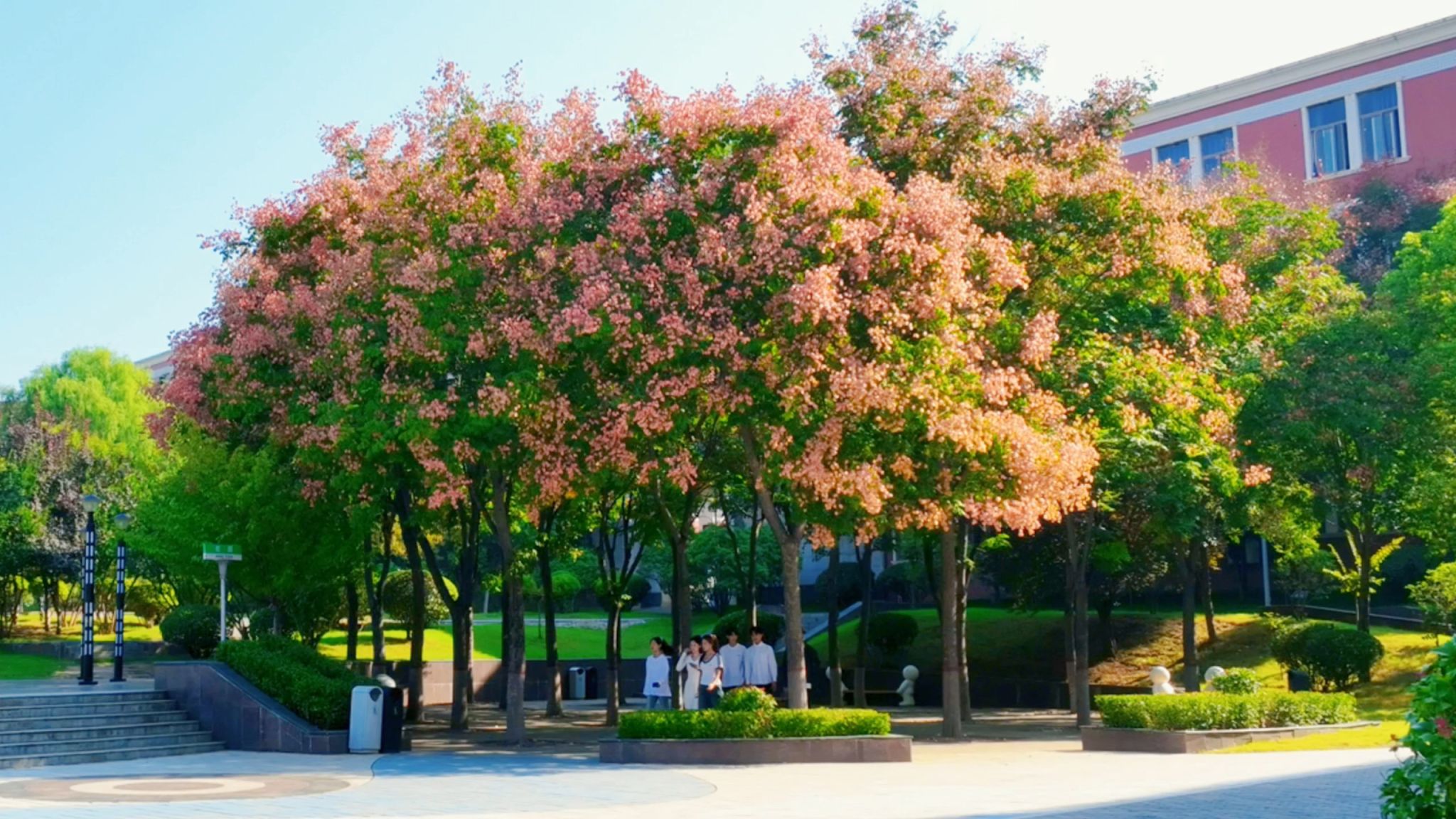 携手城院，找寻秋的浪漫