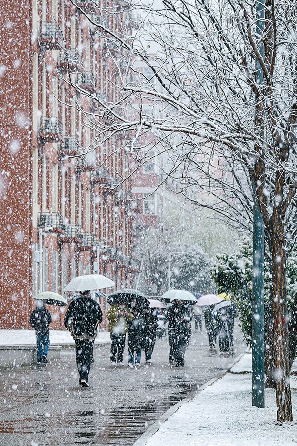 宿舍楼雪景