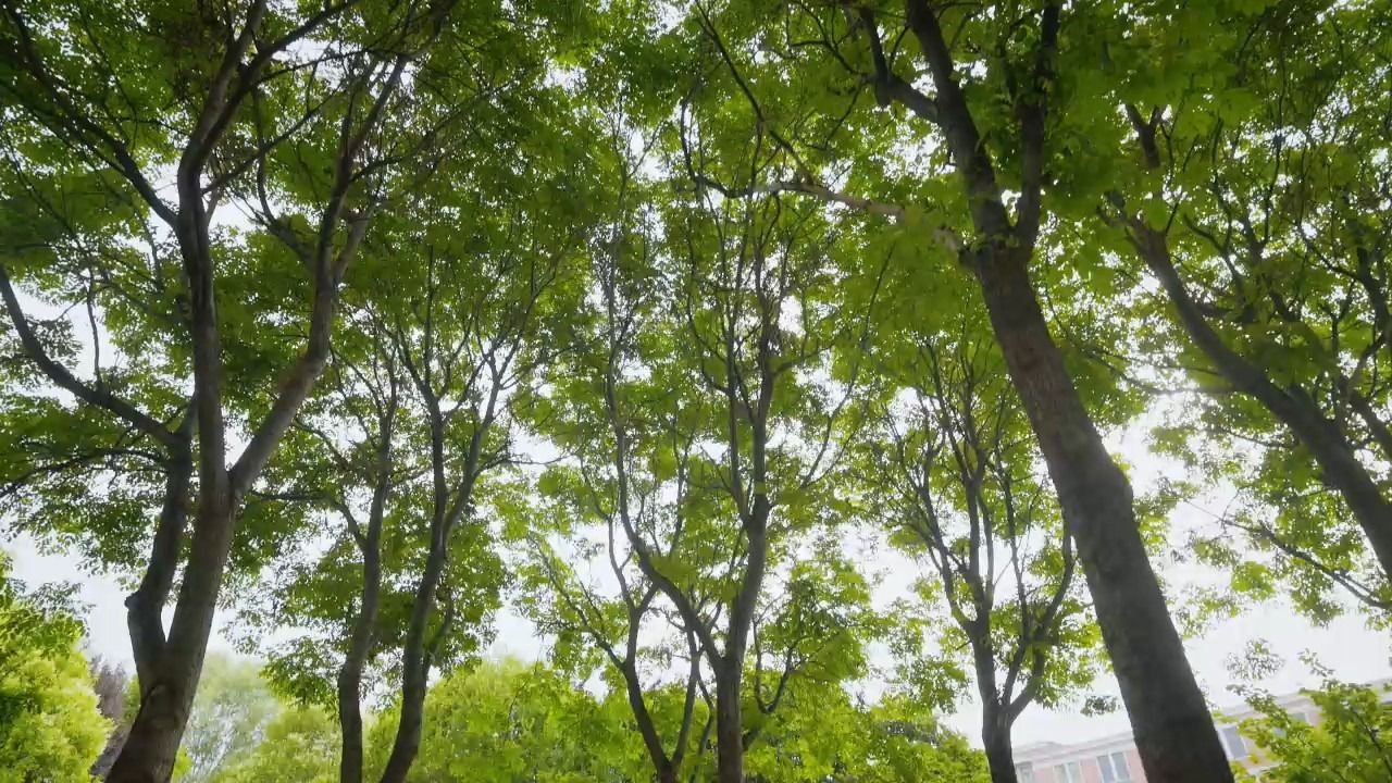 在城院，每一帧都是热爱